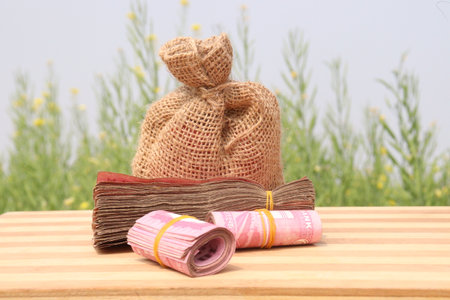 bank note with hand on mustard farm for growing financial cashの写真素材