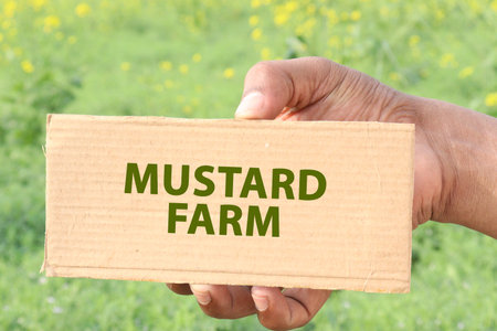 text card on hand with mustard farmの写真素材