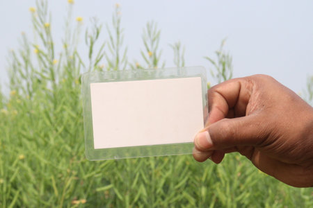 white colored sign card on hand with mustard farm for any textの写真素材