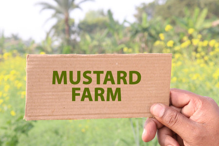 text card on hand with mustard farmの写真素材