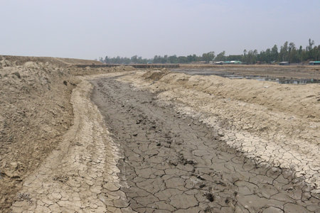 raw salt farm on plot with polythene bed for harvesting are cash crops
