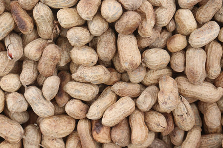 Peanuts pile on shop for sell are cash crops. have protein, fat, fiber. These kinds of fats actually...