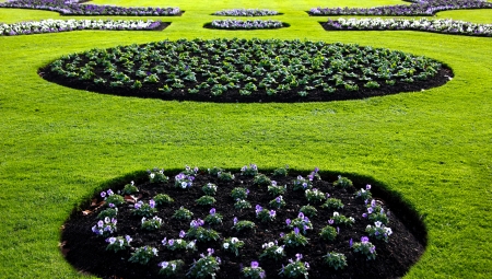 Freshly dug Flower Bed in a green lawnの写真素材