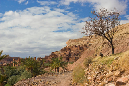 Lonely tree in the Sahara desert, near of Ait Ben-Haddou, Morocco