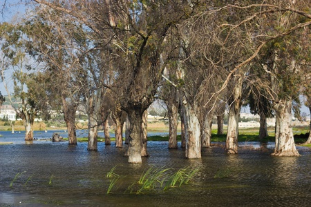 Spring flooding in Morocco の写真素材