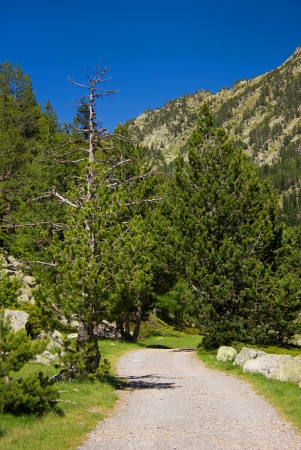 trail in national park Aiguestortes i estany de Sant Mauriciの写真素材
