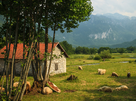 Lonely hut in the beautiful mountain landscape in Montenegroの写真素材