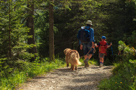 Father, son and their dog walking in a summer forest