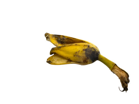 Banana peel isolated on white background. Clipping path included.の写真素材