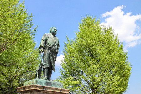Bronze statue of Saigo Takamoriの写真素材