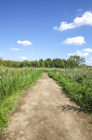 roadの写真素材