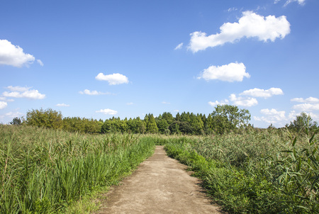 roadの写真素材
