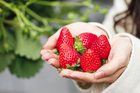Strawberryの写真素材