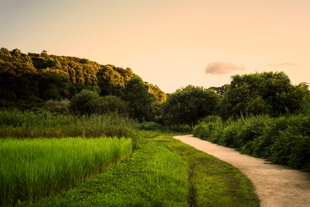 road
