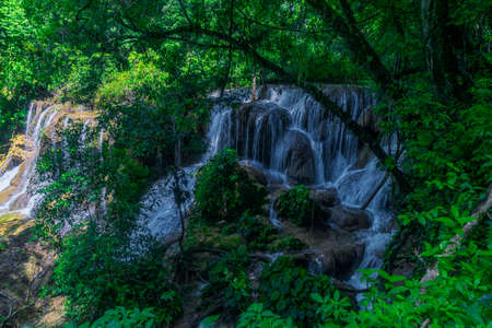 Photograph taken in the jungle Lacandona Chiapas Mexicoの写真素材