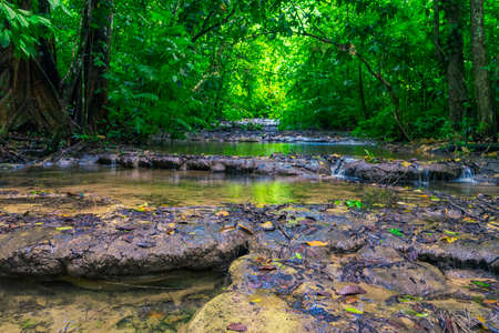 Photograph taken in the jungle Lacandona Chiapas Mexicoの写真素材