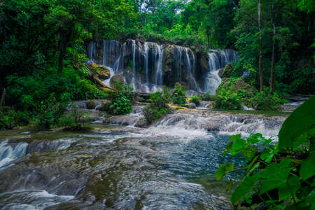 Photograph taken in the jungle Lacandona Chiapas Mexicoの写真素材