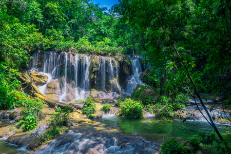 Photograph taken in the jungle Lacandona Chiapas Mexicoの写真素材