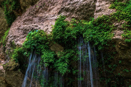 Sea photography in Playa del Carmenの写真素材