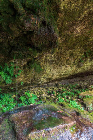 Sea photography in Playa del Carmenの写真素材