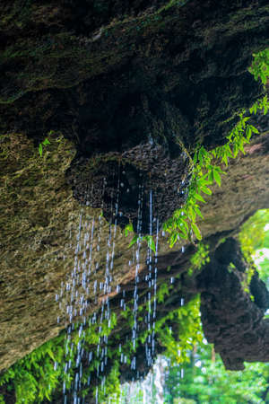 Sea photography in Playa del Carmenの写真素材