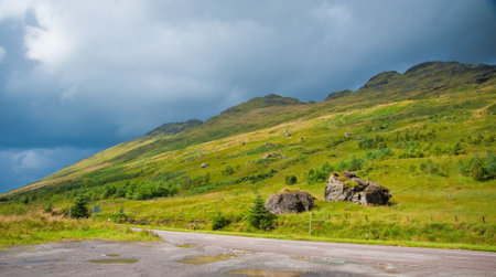 Hillside in the Highlands