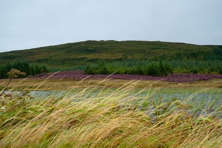 Eilean Mor Loch Finlagganの写真素材