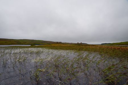 Eilean Mor (Large Island) Loch Finlaggan, seat of the Lord of the Islesの写真素材