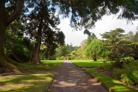 Armadale castle garden on the Isle of Skyeの写真素材