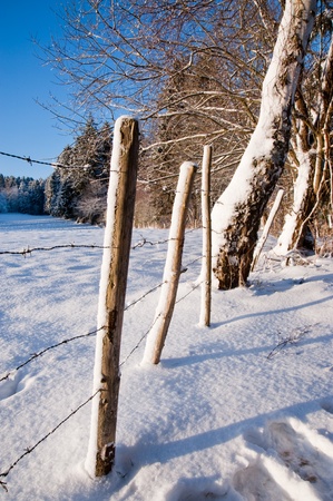 Rural winter sceneの写真素材