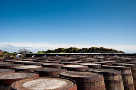 Tops of scotch whisky barrels