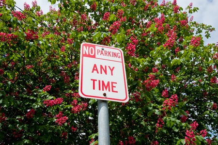 No parking any time signの写真素材