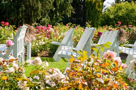 Rows of chairs in Woodland Park Rose Gardenの写真素材