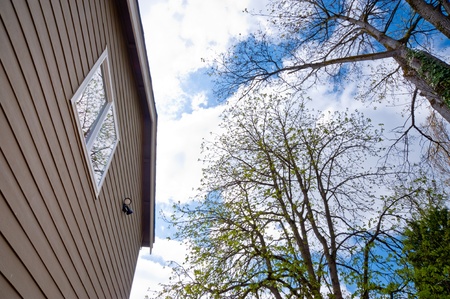 Looking up at a house, sky and treesの写真素材