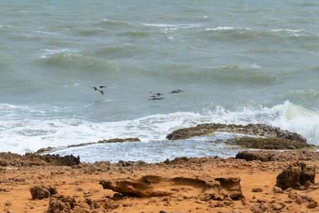 Sun of summer time on sky and sand of beach, landscapeの写真素材