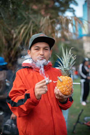 BogotÃ¡, Colombia - April 20th, 2022: young man smoking marijuana from a pineapple. 420...