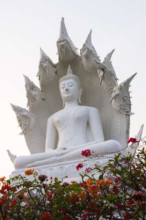 White buddha statue isolated on white background, have been seven heads on the head buddha の写真素材