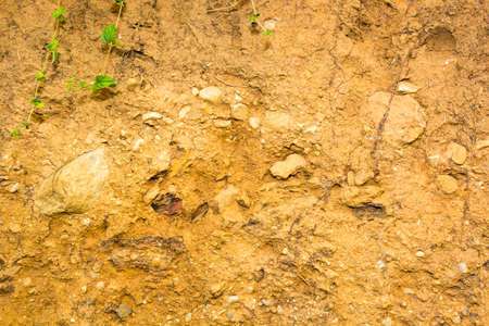 Wall mixed between soil and stone on background の写真素材