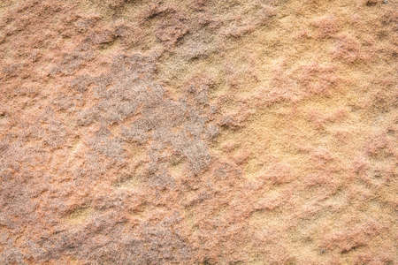 Rough sand background or texture.の写真素材