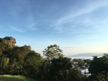 ?Nature in the country.の写真素材