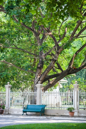 empty bench under big treesの写真素材