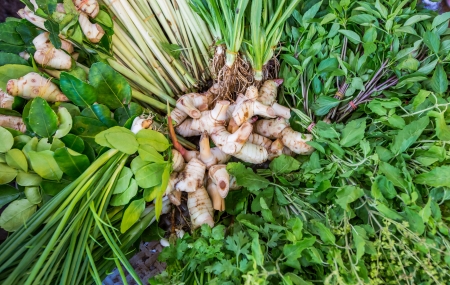Thai herbs at marketの写真素材