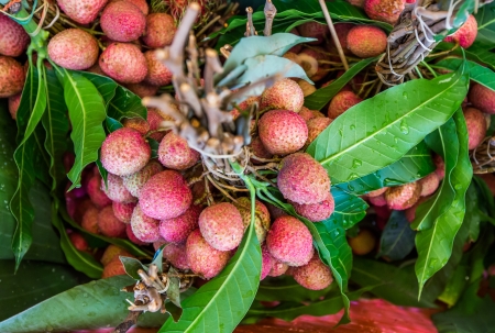 tasty litchis with leaves backgroundの写真素材
