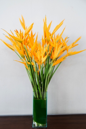bird of paradise flowers in vaseの写真素材
