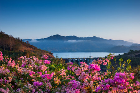beautiful ratchaprapa dam with floral foreground and mountain background, south of Thailand