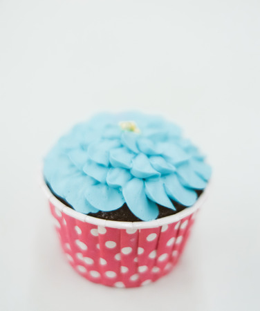 sweet pastel cupcakes with flower on top-shallow depth of fieldの写真素材