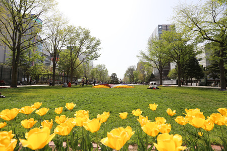 SAPPORO, JAPAN - MAY 6, 2015: Recreation of Japaneses and tourists during Japan Golden week at Sapporo TV Tower located on the ground of Odori Park.のeditorial素材