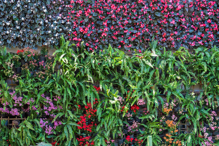 vertical tropical garden with various kind of green plants and flowersの写真素材