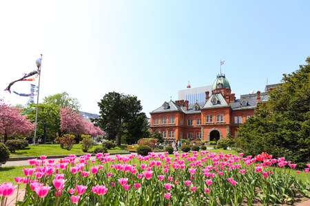 SAPPORO, JAPAN- MAY 6, 2015 : Former HokkaidÅ overnment Office made of red bricks and its garden with Sakura or Cherry Blossum blooming during Japan Golden Week 2015. This is a popular sightseeing in Hokkaido.のeditorial素材