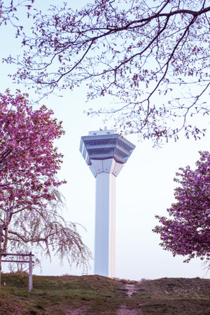 Goryokaku Tower with cherry blossom landmark of Hakodate, Hokkaido, Japanのeditorial素材